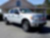1FTFW1ET9DFD94845-2013-ford-f-150-0