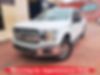 1FTEW1EP6JKD94769-2018-ford-f-150