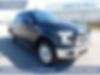 1FTEW1EF7GFB92399-2016-ford-f-150-0