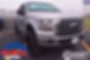 1FTEW1CP6HFA25030-2017-ford-f-150-0
