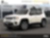 ZACNJDD12MPM30154-2021-jeep-renegade-0