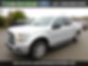 1FTEW1CP7GKF08189-2016-ford-f-150-0