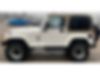 1J4FA59S72P703138-2002-jeep-wrangler-2