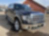1FTFW1ET5DKG50423-2013-ford-f-150-0