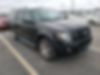 1FMJK1K56AEB62437-2010-ford-expedition-2