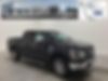 1FTFW1E81MKD54181-2021-ford-f-150-0