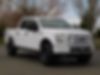 1FTEW1EP5GKF00153-2016-ford-f-150-0