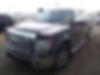 1FTFW1CT9BFB15149-2011-ford-f-150-0
