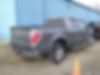 1FTFW1CT9BFB15149-2011-ford-f-150-2