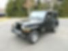 1J4FA39S33P362987-2003-jeep-wrangler-2
