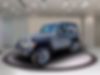 1C4GJXAG9LW190303-2020-jeep-wrangler-0