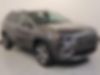 1C4PJMDX2KD133039-2019-jeep-cherokee-0