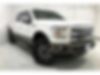1FTEW1EF4FKD19065-2015-ford-f-150-0
