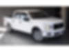 1FTEW1CP8JKF81322-2018-ford-f-150-1