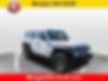 1C4HJXFN5MW632281-2021-jeep-wrangler-unlimited-0