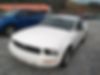 1ZVHT80N595111824-2009-ford-mustang