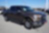 1FTEW1EP9HKD07490-2017-ford-f-150-2