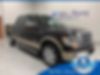 1FTFW1CT6DKD03802-2013-ford-f-150