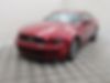 1ZVBP8AM4E5222603-2014-ford-mustang-0