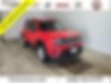 ZACNJBAB9KPJ83245-2019-jeep-renegade