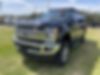 1FT7W2BT1HEE90804-2017-ford-f-250-0
