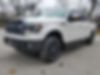 1FTFW1ET0BFD35860-2011-ford-f-150-2