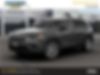 1C4PJMMX4MD210030-2021-jeep-cherokee