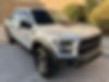 1FTFW1RG2HFC86389-2017-ford-f-150-0