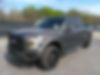 1FTEW1CP0FKF03740-2015-ford-f-150-0