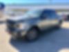 1FTEW1CP2JKC92419-2018-ford-f-150-1
