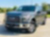 1FTEW1CP6FKE14674-2015-ford-f-150-0