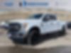 1FT7W2BT7HED52880-2017-ford-f-250-0