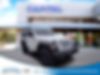 1C4GJXAG4LW153627-2020-jeep-wrangler-0