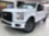 1FTEW1EP1HFA01621-2017-ford-f-150-0
