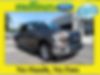 1FTEW1CP1HFB99586-2017-ford-f-150