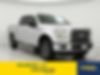 1FTEW1EF4FKD59839-2015-ford-f-150-0