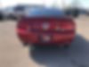 1ZVHT82H385147016-2008-ford-mustang-1