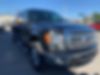 1FTFW1ET1DFC48374-2013-ford-f-150-0