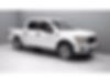 1FTEW1CP8JKF81322-2018-ford-f-150-0