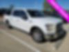 1FTEW1CPXFKF03051-2015-ford-f-150-0