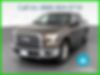 1FTEW1EP9GFD36995-2016-ford-f-150-0
