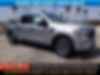 1FTEW1CP6MFB15675-2021-ford-f-150-0