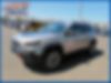 1C4PJMBX0MD202302-2021-jeep-cherokee-2