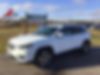 1C4PJMDX4KD191122-2019-jeep-cherokee