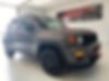 ZACNJBBB4LPL32659-2020-jeep-renegade-0