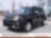 ZACNJDD18MPM10958-2021-jeep-renegade-0