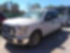 1FTEW1C88GFA87696-2016-ford-f-150-0