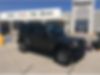 1C4HJWFG2HL637828-2017-jeep-wrangler-unlimited-0
