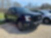 1FTEW1EP3GFA69594-2016-ford-f-150-0