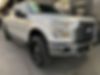 1FTEW1EP1GKE51887-2016-ford-f-150-0